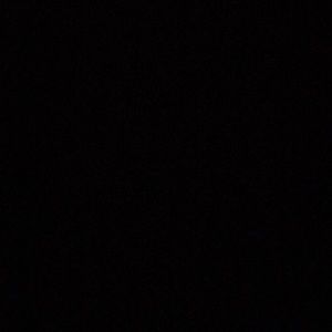 Meet your Posher, Asha